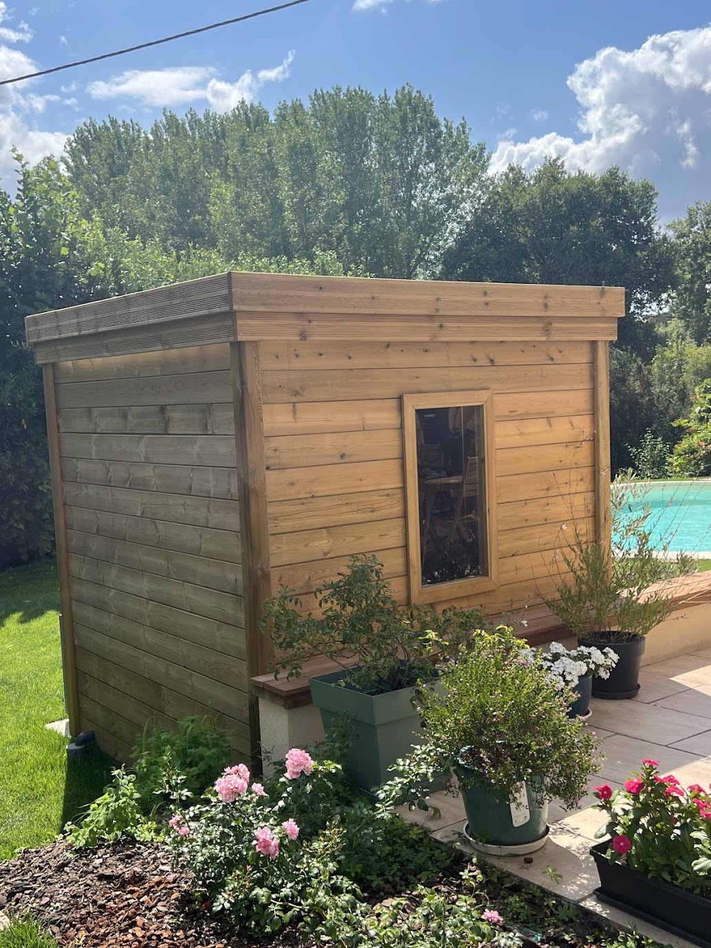 Abri jardin bois moderne utilisé comme local technique, entouré de végétation et adjacent à une piscine