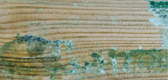 Imperfection bois — résine apparente sur abri Abri Français