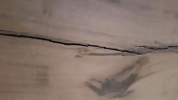 Imperfection bois — fissure naturelle sur abri en pin sylvestre