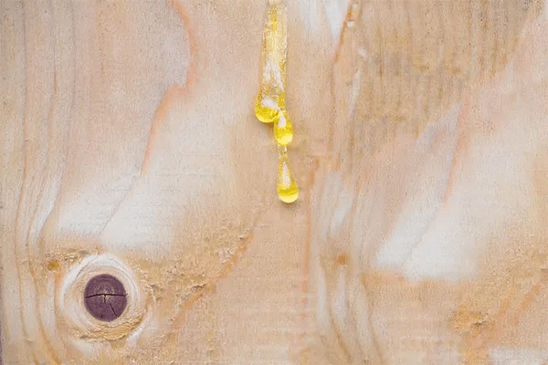 Imperfection bois — variation de teinte naturelle pin sylvestre