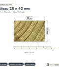 Liteau en pin sylvestre traité autoclave vert classe 4 – Section 28x42 mm, plan de section, Abri Français