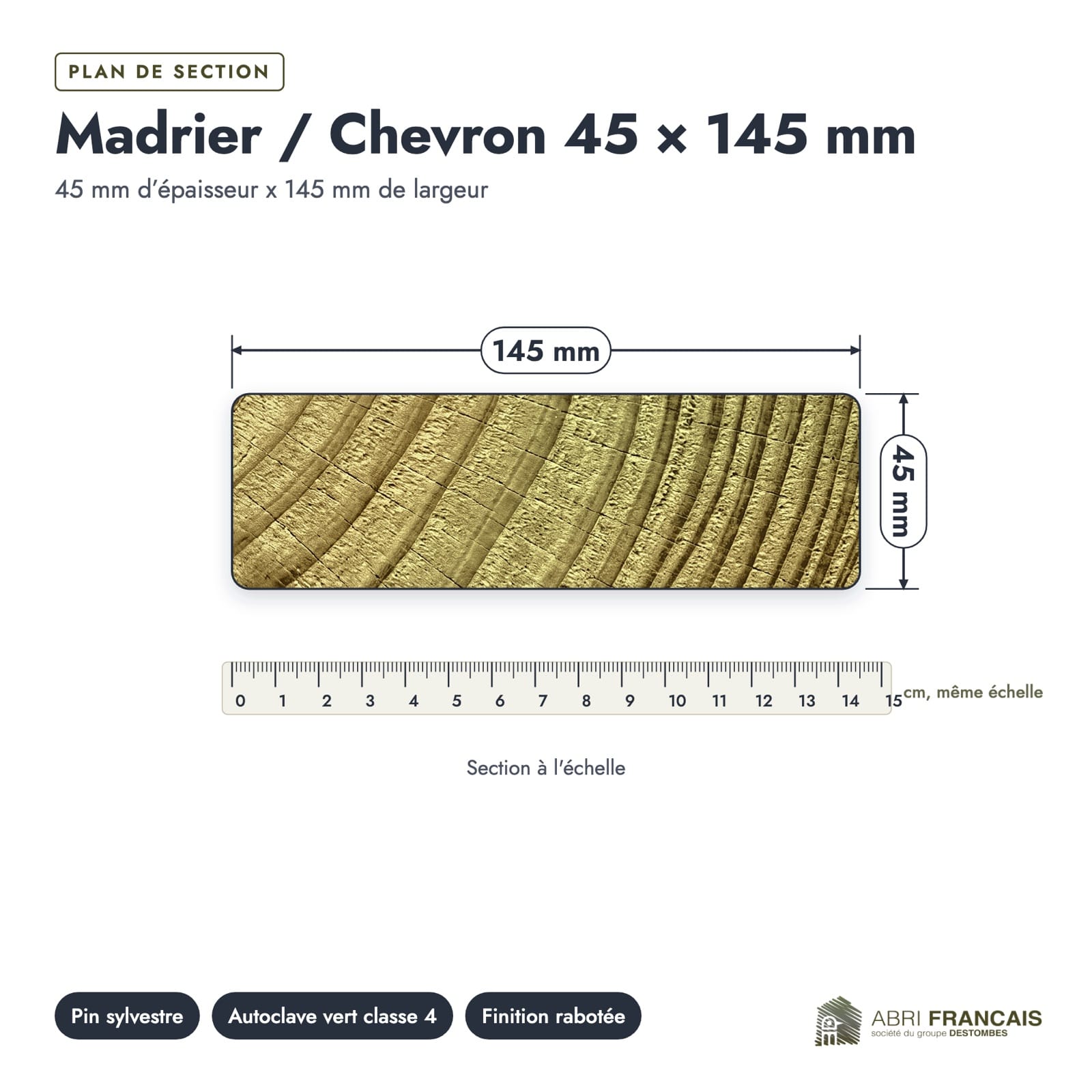 Plan de section coté, sur le vrai bois de bout
