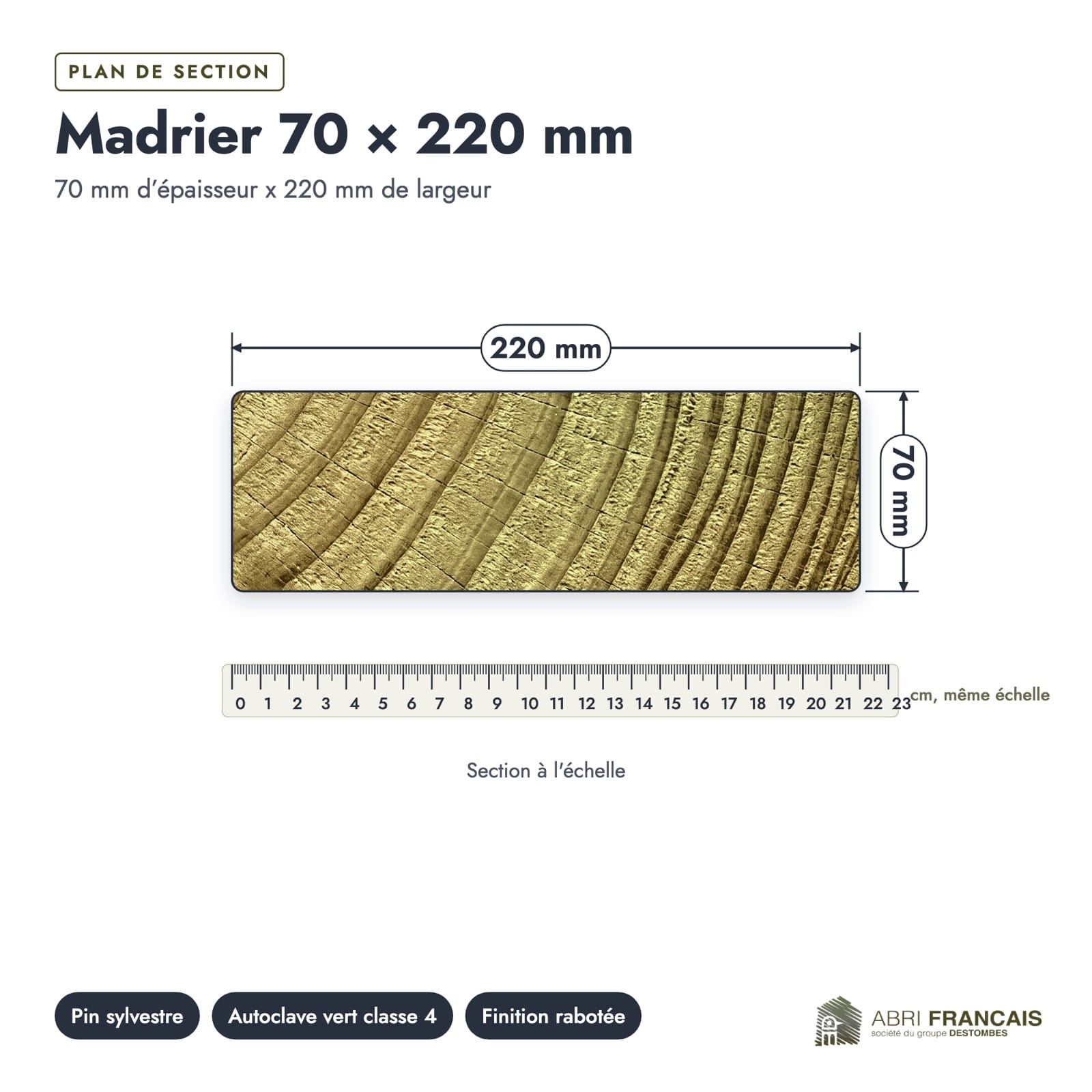 Plan de section coté, sur le vrai bois de bout