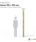 Poteau en pin sylvestre traité autoclave vert classe 4 – Section 90x90 mm, longueurs, Abri Français
