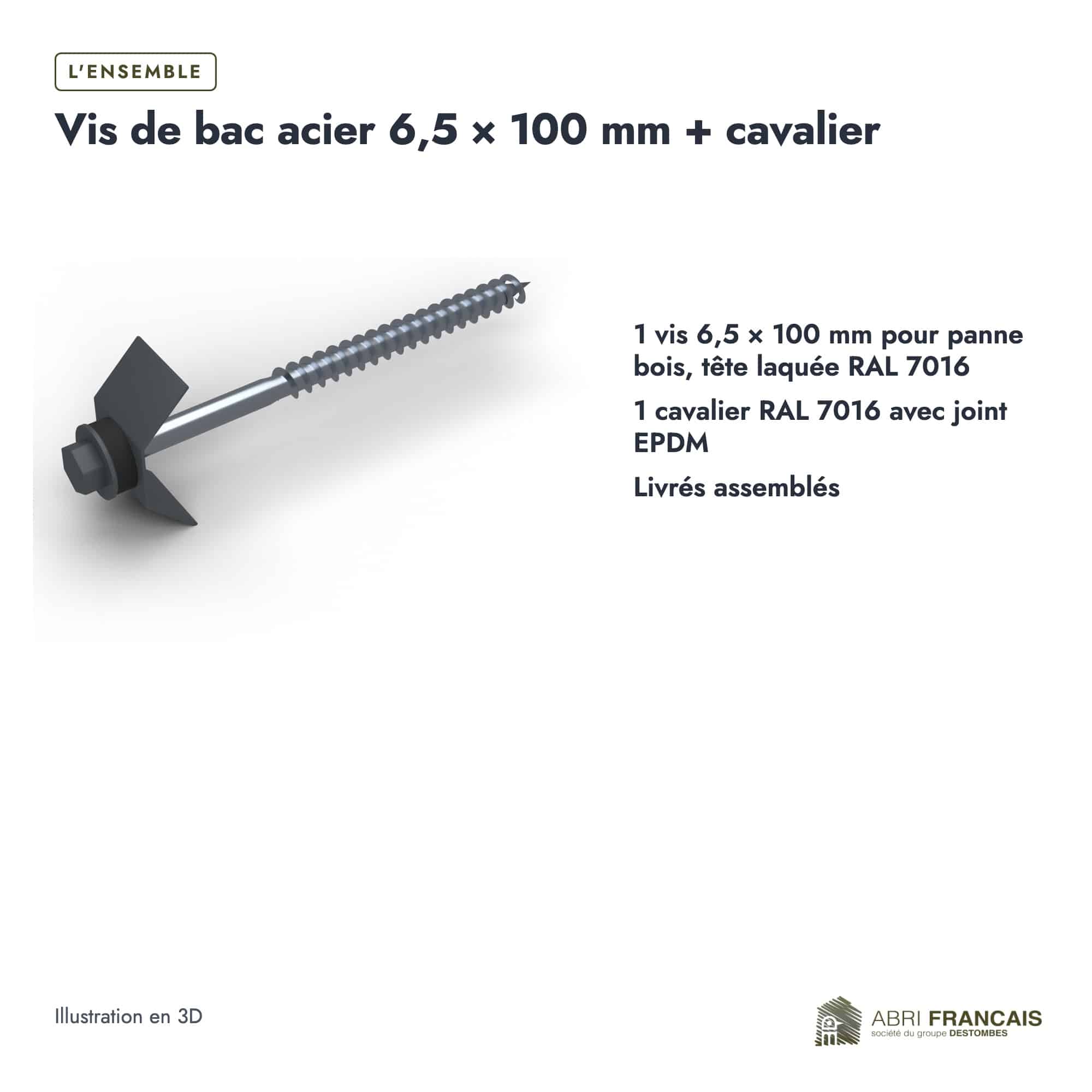Vis de bac acier 6,5 × 100 mm + cavalier, boîte ou ensemble, Abri Français